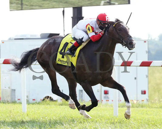 Ramsey Solution - The Tapit Stakes 09-09-20 R09 Kd Finish 02 Kentucky Downs