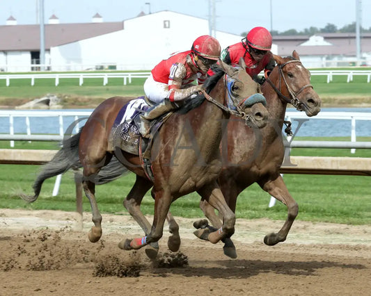 RAPID JUSTICE - ITOBA Stallion Season - 10-01-25 - R04 - Horseshoe Indiana - Finish 02 - Devin Hall Indiana Grand
