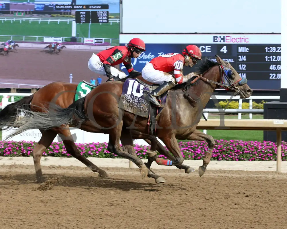 RAPID JUSTICE - ITOBA Stallion Season - 10-01-25 - R04 - Horseshoe Indiana - Finish 01 - Sammantha Pagels Indiana Grand