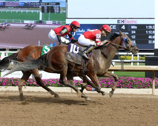 RAPID JUSTICE - ITOBA Stallion Season - 10-01-25 - R04 - Horseshoe Indiana - Finish 01 - Sammantha Pagels Indiana Grand