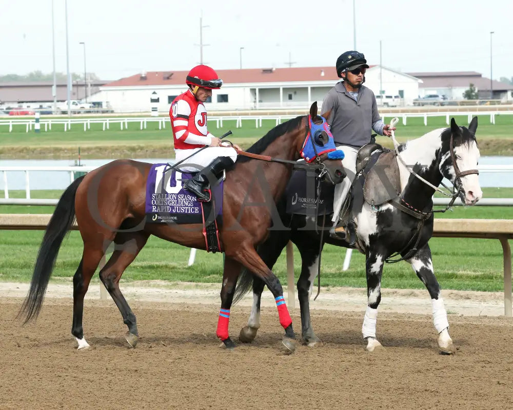 RAPID JUSTICE - ITOBA Stallion Season - 10-01-25 - R04 - Horseshoe Indiana - Post Parade 01 - Devin Hall - Coady Media - Kurtis Coady Photography