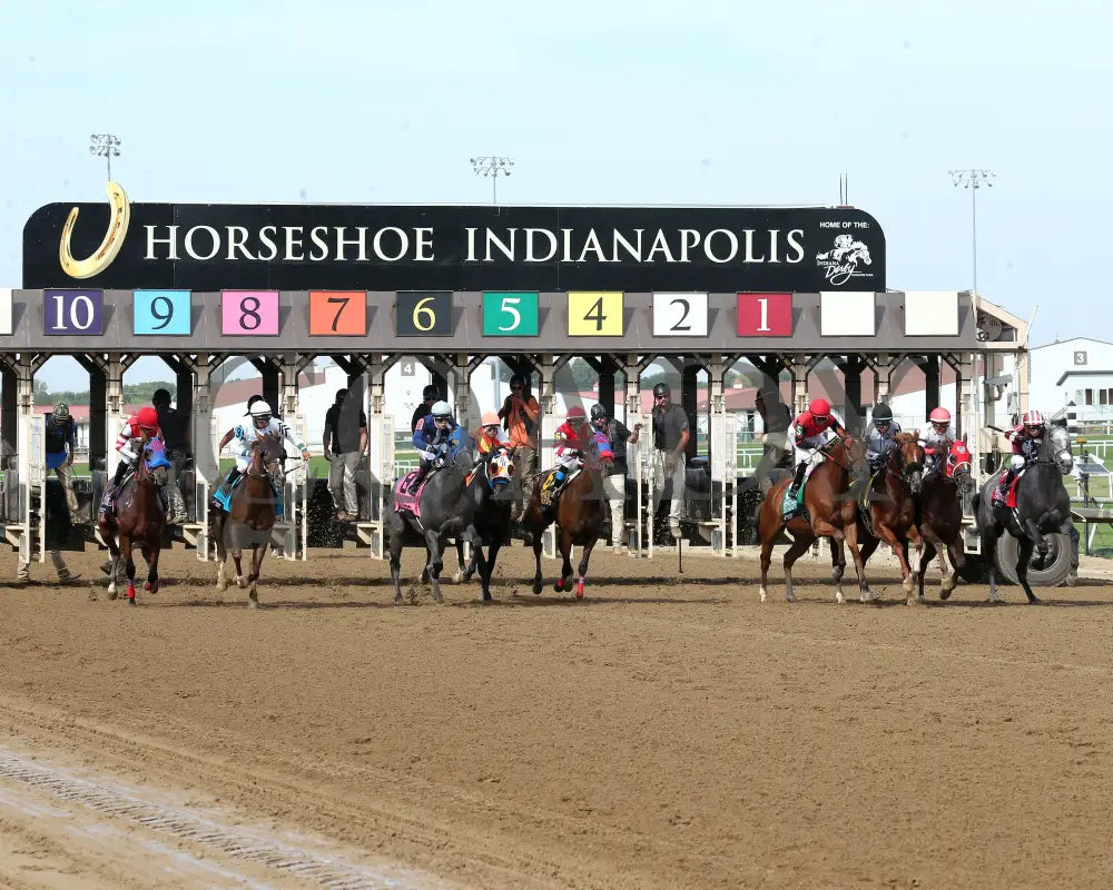 RAPID JUSTICE - ITOBA Stallion Season - 10-01-25 - R04 - Horseshoe Indiana - Start 01 - Devin Hall Indiana Grand