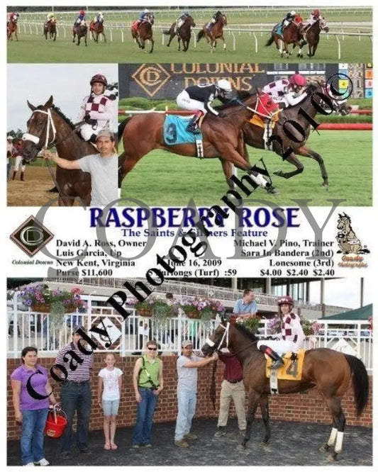 Raspberry Rose - The Saints & Sinners Feature Colonial Downs