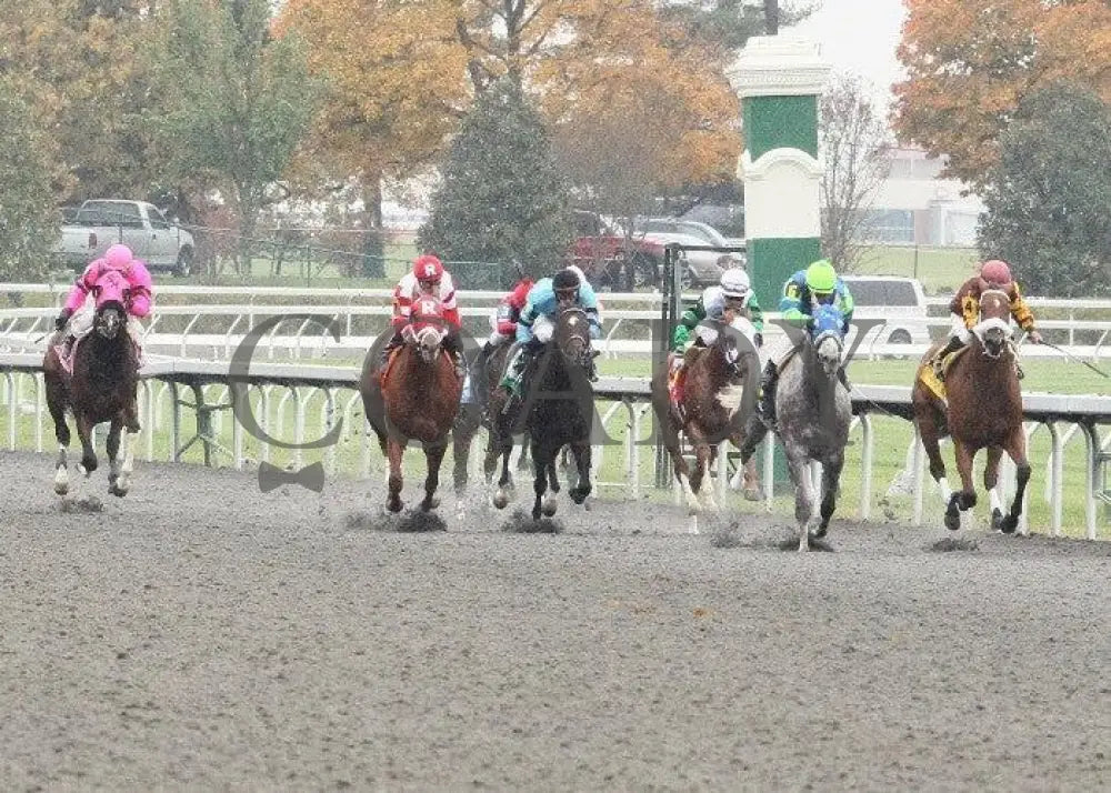 Ratatat - 1 102811 Race 01 Keeneland