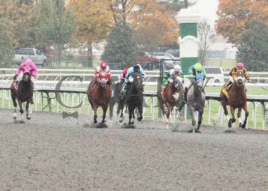 Ratatat - 1 102811 Race 01 Keeneland