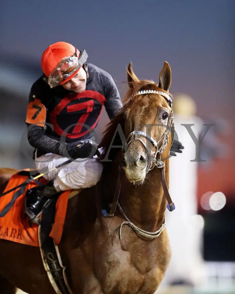 Rattle N Roll - The Clark G2 150Th Running 11-29-24 R11 Cd Come Back 01 Churchill Downs