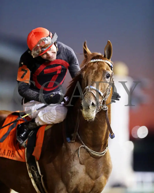 Rattle N Roll - The Clark G2 150Th Running 11-29-24 R11 Cd Come Back 01 Churchill Downs