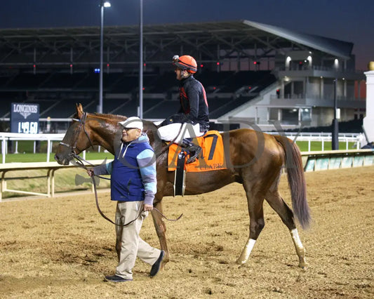 Rattle N Roll - The Clark G2 150Th Running 11-29-24 R11 Cd Come Back 03 Churchill Downs