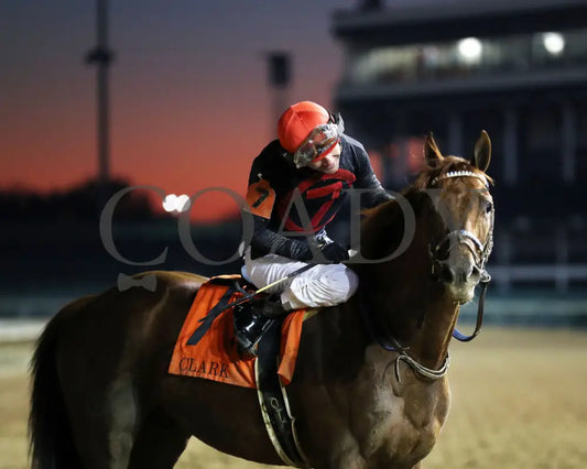 Rattle N Roll - The Clark G2 150Th Running 11-29-24 R11 Cd Come Back 04 Churchill Downs