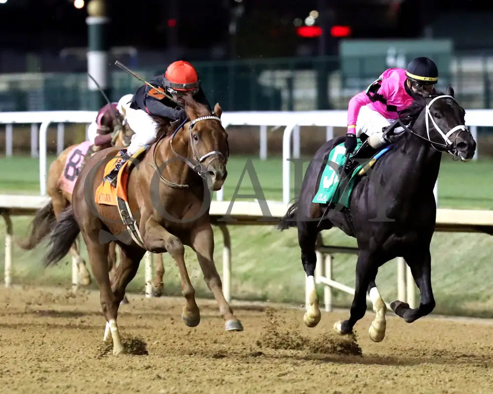 Rattle N Roll - The Clark G2 150Th Running 11-29-24 R11 Cd Finish 02 Churchill Downs