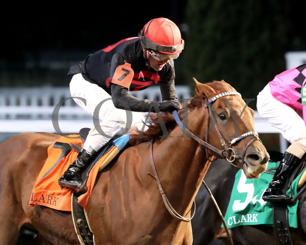 Rattle N Roll - The Clark G2 150Th Running 11-29-24 R11 Cd Tight Finish 02 Churchill Downs