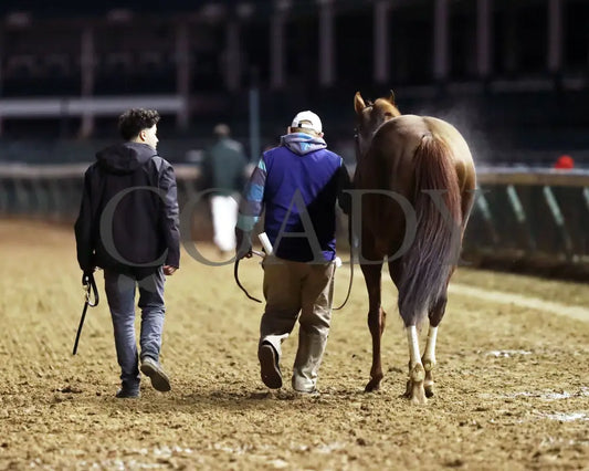 Rattle N Roll - The Clark G2 150Th Running 11-29-24 R11 Cd Walk Back 01 Churchill Downs