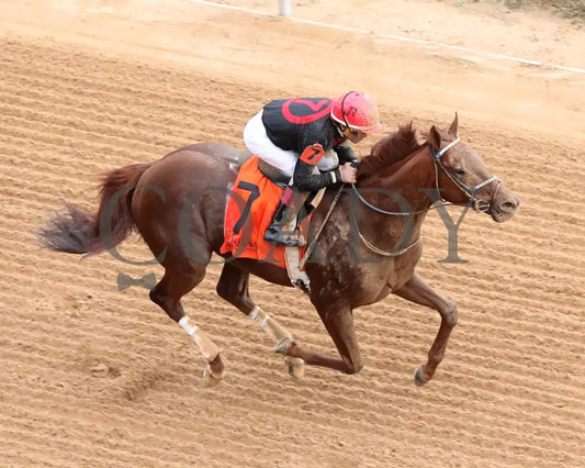RATTLE N ROLL - Tinsel Stakes - 12-20-25 - R08 - OP - Aerial Finish 01 - Coady Media - Kurtis Coady Photography