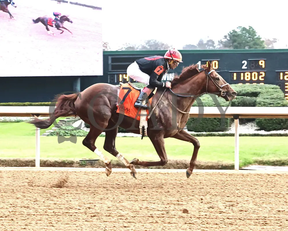 RATTLE N ROLL - Tinsel Stakes - 12-20-25 - R08 - OP - Finish 01 - Coady Media - Kurtis Coady Photography