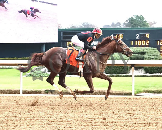 RATTLE N ROLL - Tinsel Stakes - 12-20-25 - R08 - OP - Finish 01 - Coady Media - Kurtis Coady Photography