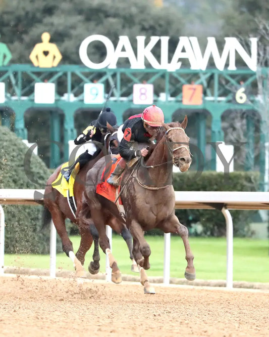 RATTLE N ROLL - Tinsel Stakes - 12-20-25 - R08 - OP - Finish 02 - Coady Media - Kurtis Coady Photography