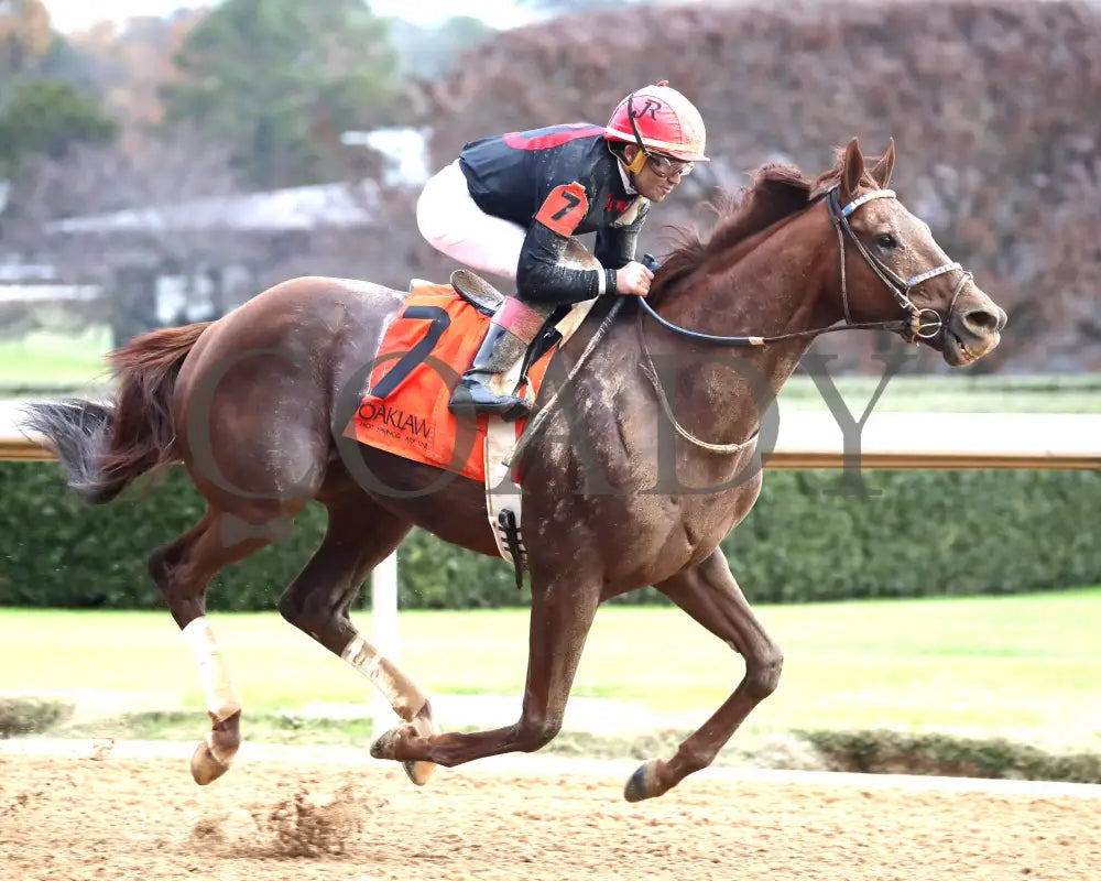 RATTLE N ROLL - Tinsel Stakes - 12-20-25 - R08 - OP - Finish 04 - Coady Media - Kurtis Coady Photography