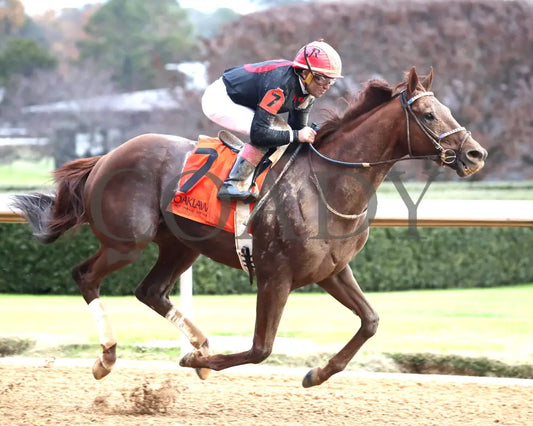RATTLE N ROLL - Tinsel Stakes - 12-20-25 - R08 - OP - Finish 04 - Coady Media - Kurtis Coady Photography
