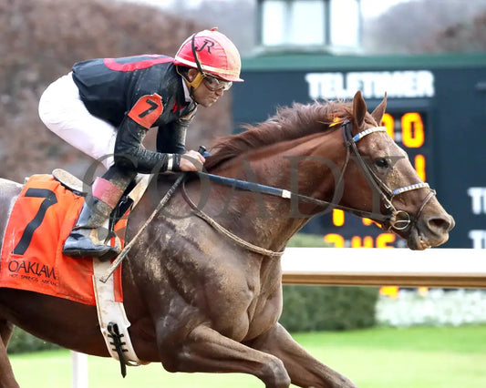 RATTLE N ROLL - Tinsel Stakes - 12-20-25 - R08 - OP - Finish 05 - Coady Media - Kurtis Coady Photography
