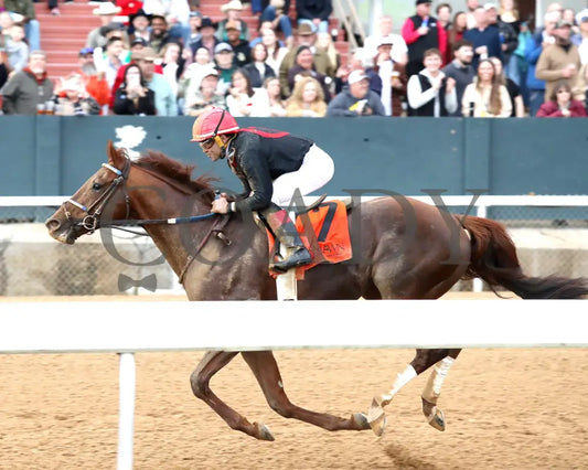 RATTLE N ROLL - Tinsel Stakes - 12-20-25 - R08 - OP - Inside Finish 01 - Coady Media - Kurtis Coady Photography