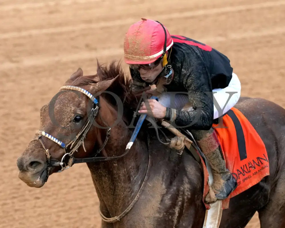 RATTLE N ROLL - Tinsel Stakes - 12-20-25 - R08 - OP - Inside Finish 02 - Coady Media - Kurtis Coady Photography