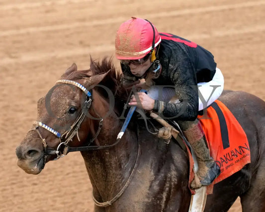 RATTLE N ROLL - Tinsel Stakes - 12-20-25 - R08 - OP - Inside Finish 02 - Coady Media - Kurtis Coady Photography