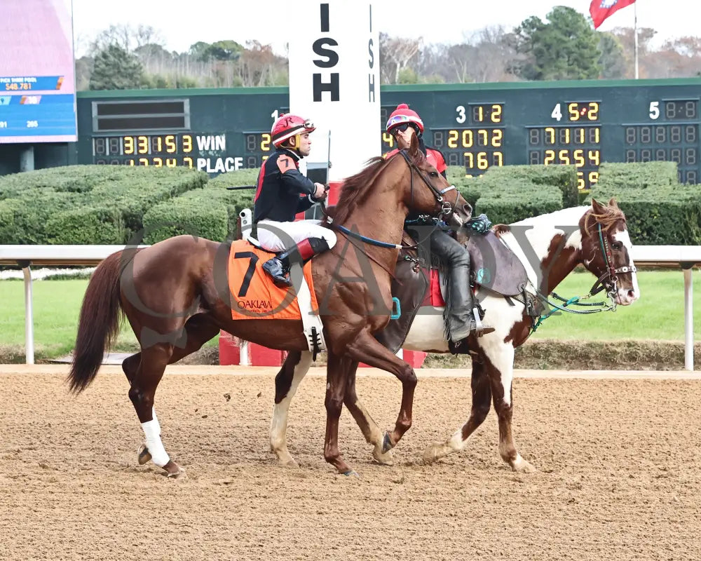 RATTLE N ROLL - Tinsel Stakes - 12-20-25 - R08 - OP - Post Parade 01 - Coady Media - Kurtis Coady Photography