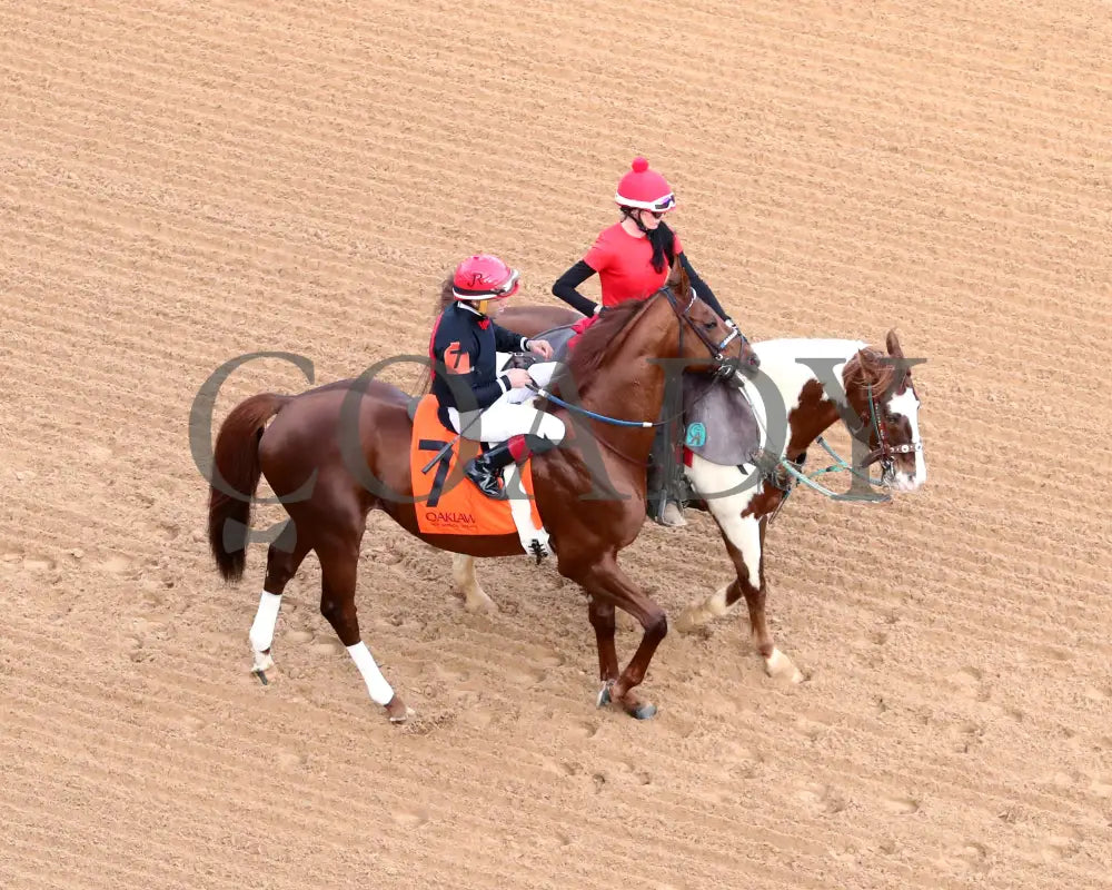 RATTLE N ROLL - Tinsel Stakes - 12-20-25 - R08 - OP - Post Parade 04 - Coady Media - Kurtis Coady Photography