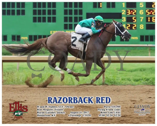 Razorback Red - 081117 Race 01 Elp A Ellis Park