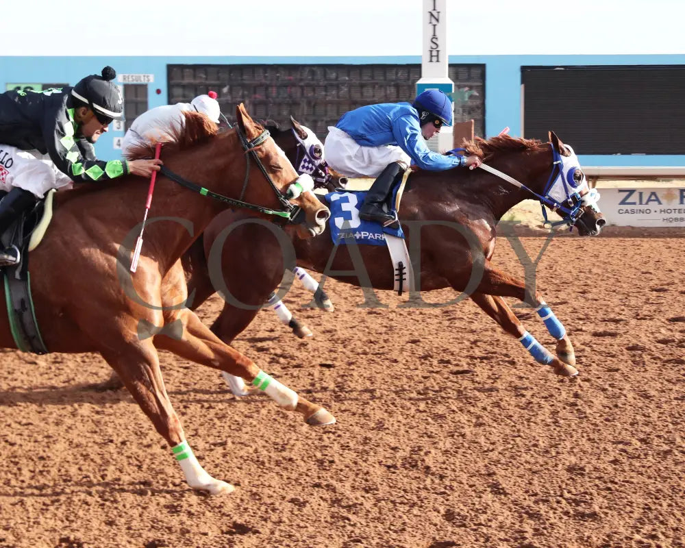 Rc Corona King - New Mexico Classic Quarter Horse Championship Stakes 12-15-24 R09 Zia Park Finish
