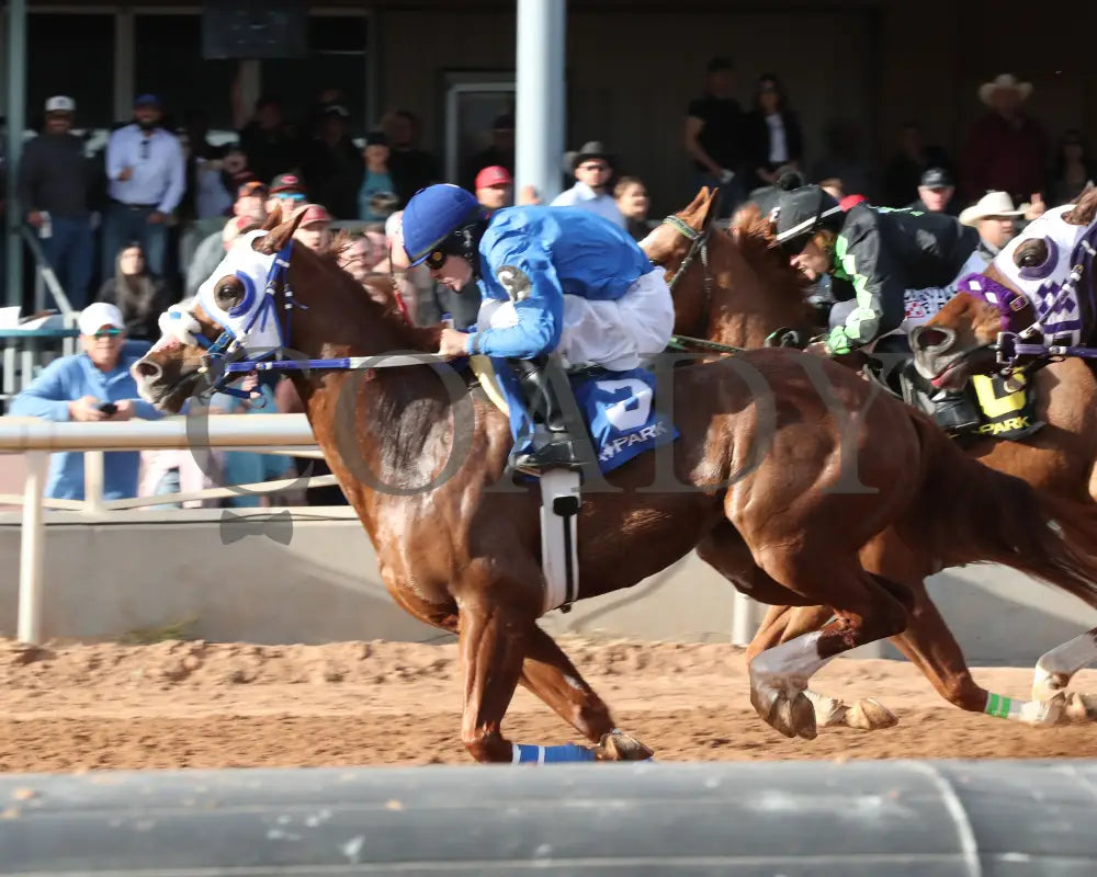 Rc Corona King - New Mexico Classic Quarter Horse Championship Stakes 12-15-24 R09 Zia Park Inside