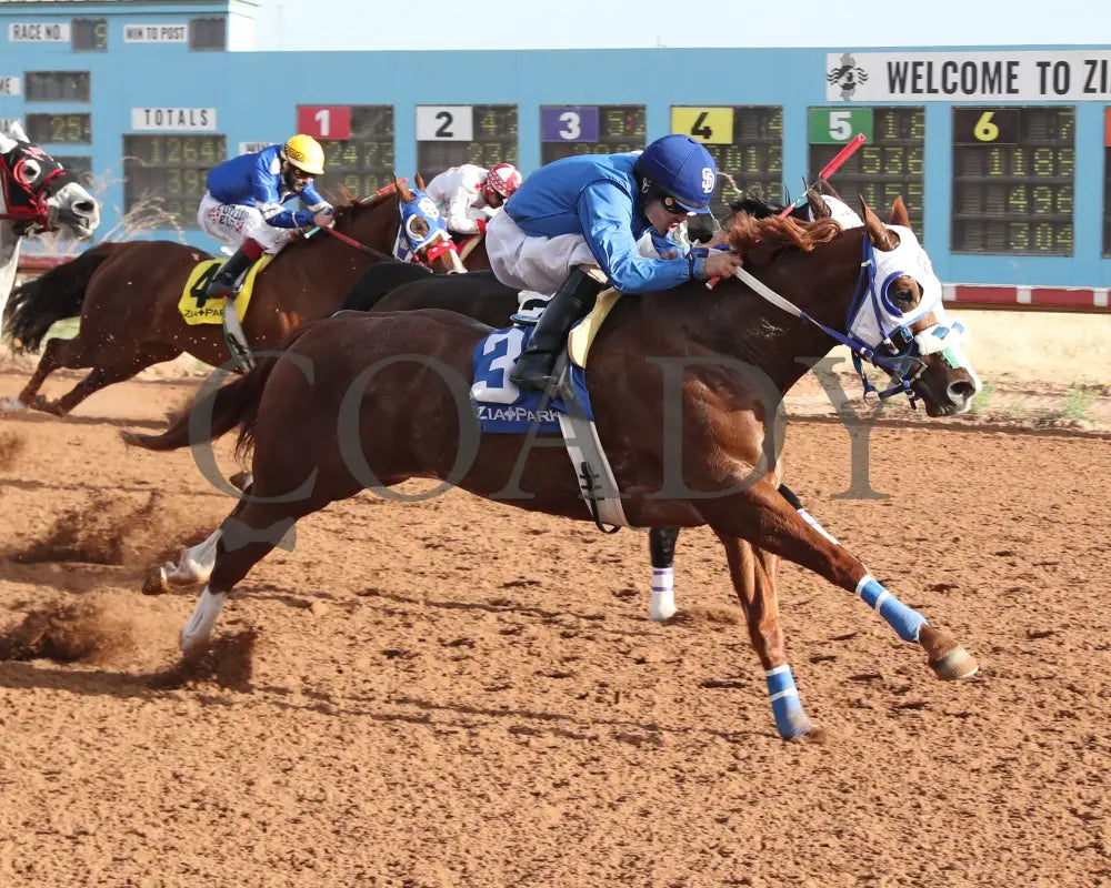 Rc Corona King - New Mexico Classic Quarter Horse Championship Stakes 12-15-24 R09 Zia Park Stretch