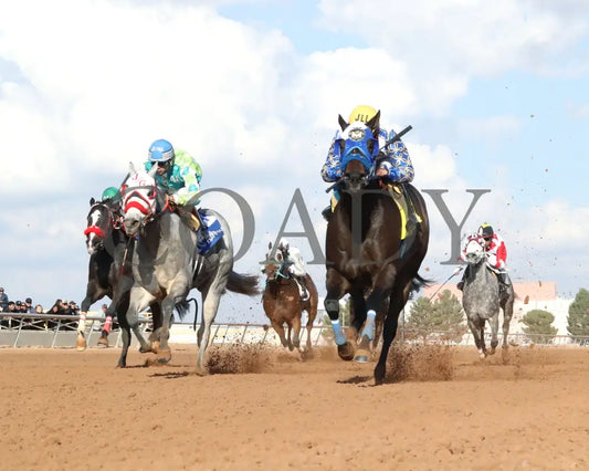 RC JESSA FLASHN - New Mexico Classic 870 Championship Stakes - 11-23-25 - R06 - Zia Park - Under Rail - Coady Media - Kurtis Coady Photography