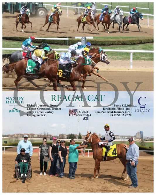 Reagal Cat - 04-05-23 R01 Srm Photograph