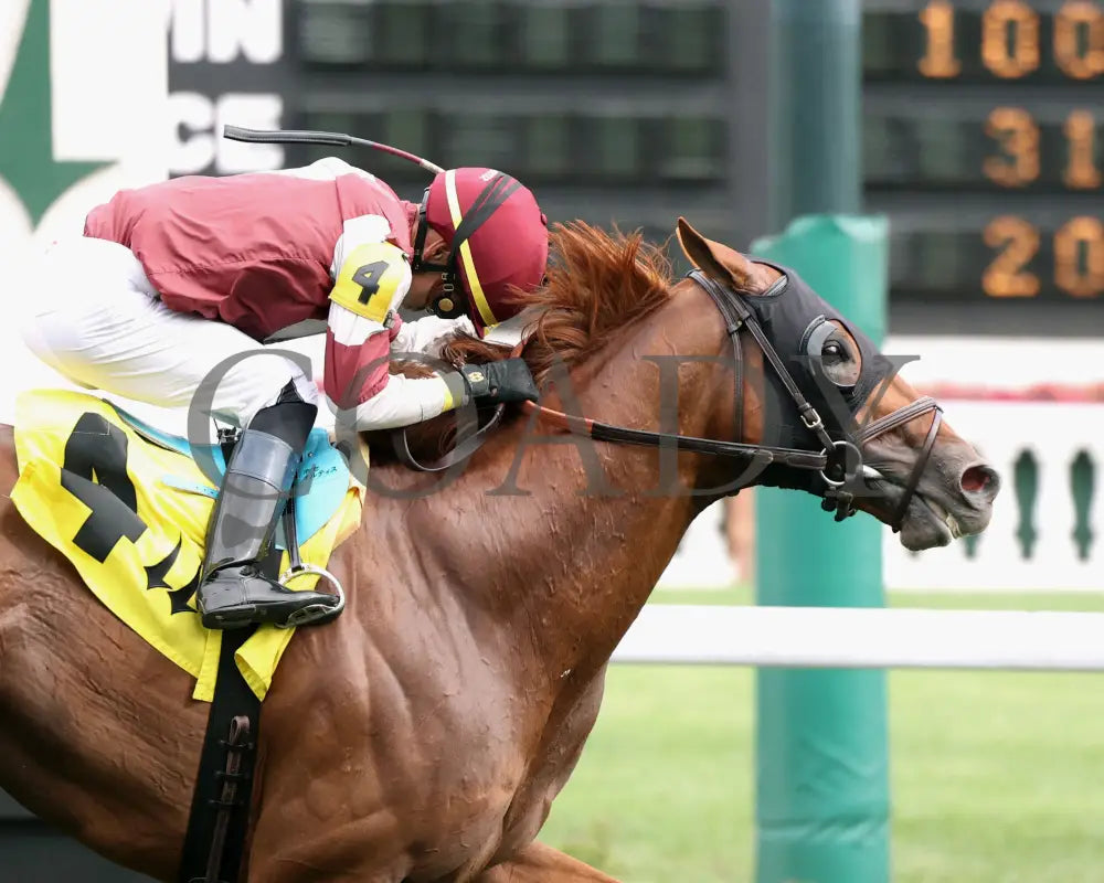 REBEL RED - 061425 - Race 10 - CD - Celebration 01 Churchill Downs