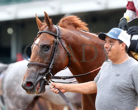 REBEL RED - 061425 - Race 10 - CD - Come Back 01 Churchill Downs