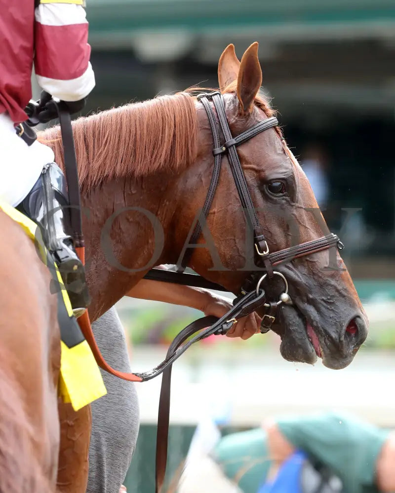 REBEL RED - 061425 - Race 10 - CD - Come Back 03 Churchill Downs