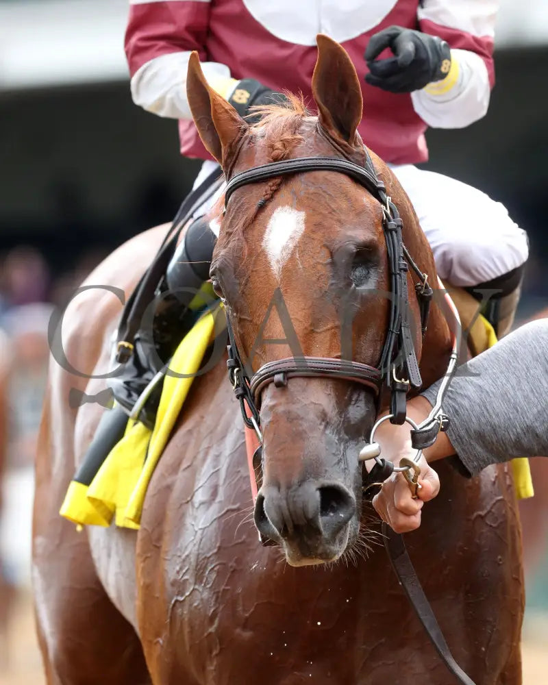 REBEL RED - 061425 - Race 10 - CD - Come Back 04 Churchill Downs