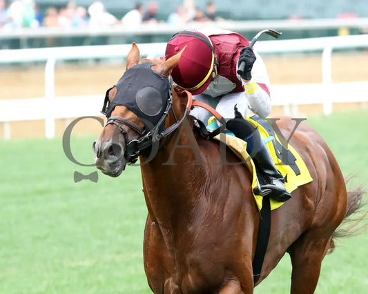 REBEL RED - 061425 - Race 10 - CD - Inside Finish 01 Churchill Downs