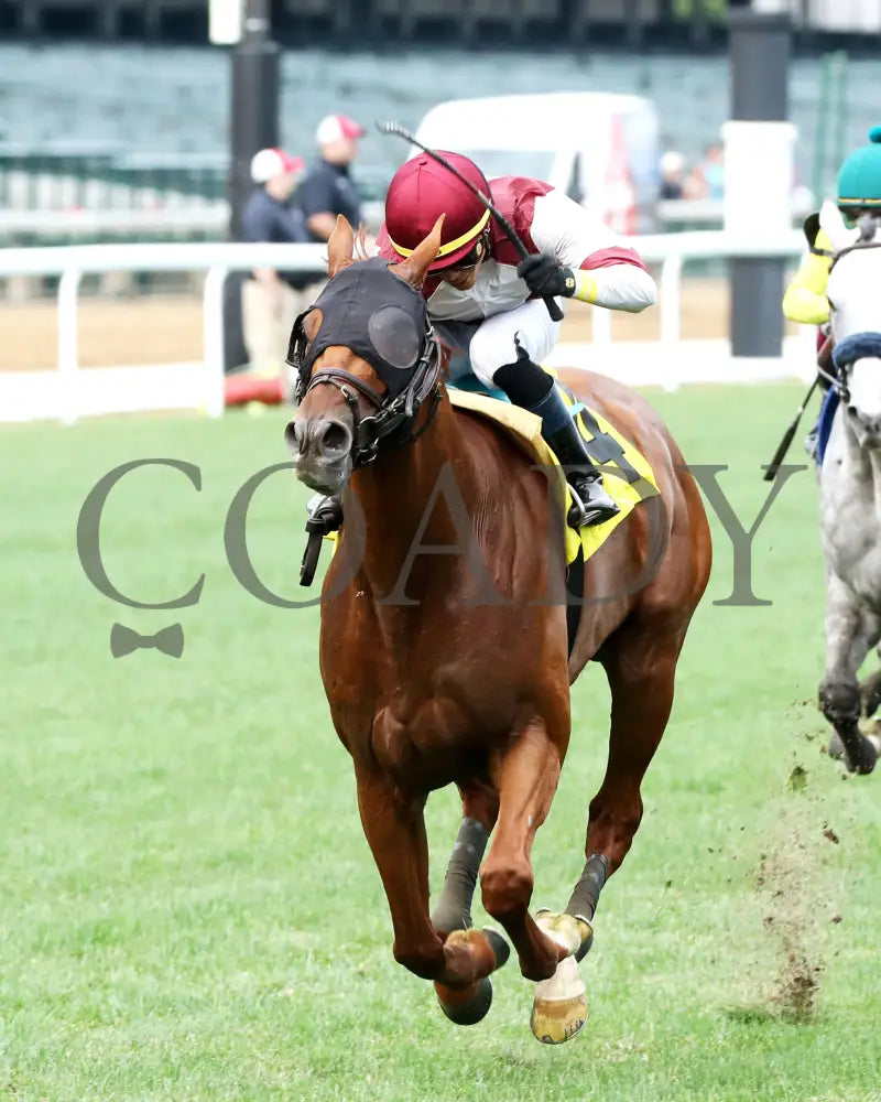 REBEL RED - 061425 - Race 10 - CD - Inside Finish 04 Churchill Downs