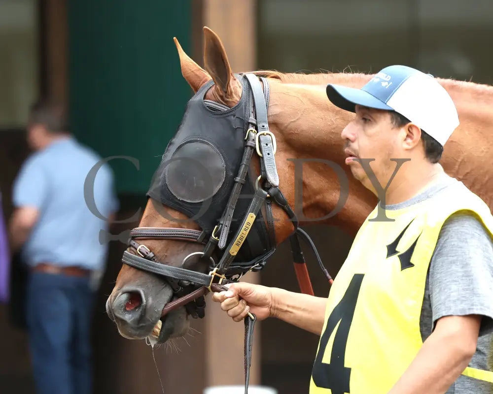 REBEL RED - 061425 - Race 10 - CD - Paddock 01 Churchill Downs