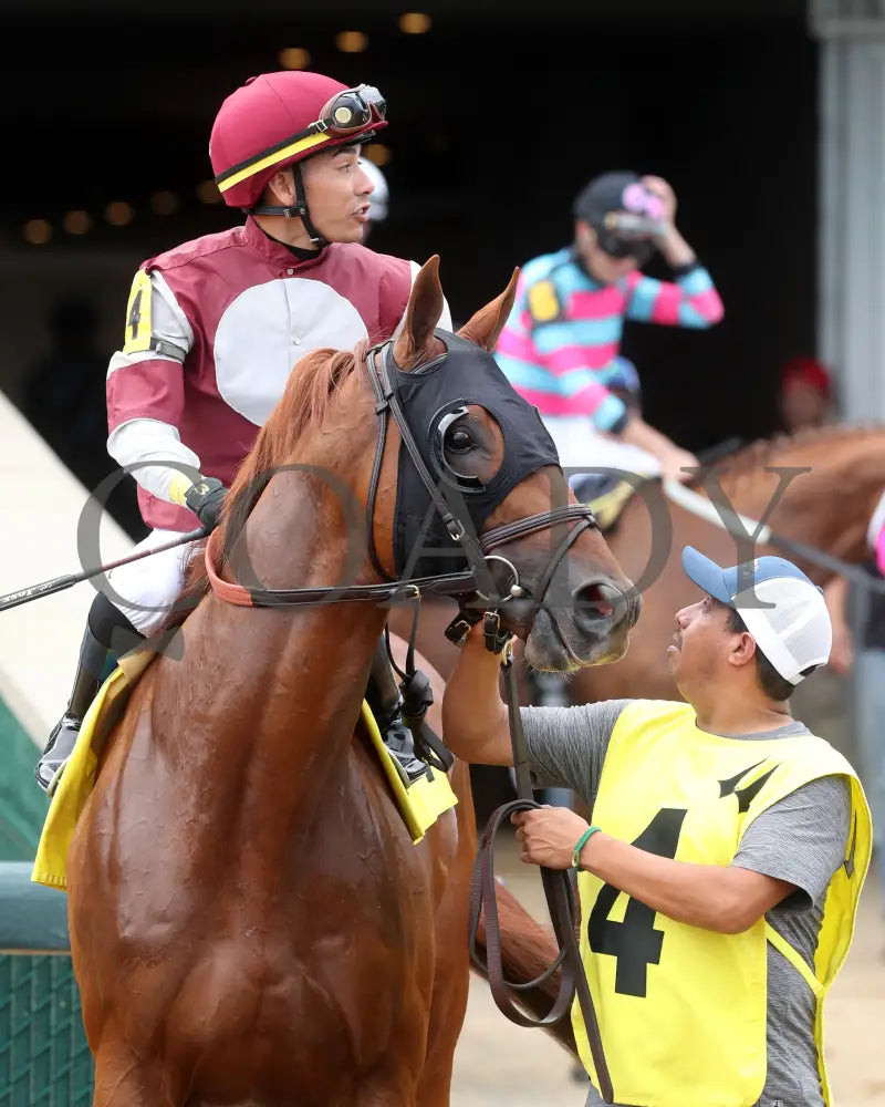 REBEL RED - 061425 - Race 10 - CD - Post Parade 02 Churchill Downs
