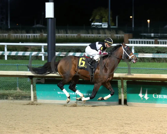 Recruiting Ready - Bet On Sunshine Overnight Stakes 12Th Running 11-02-19 R10 Cd Finish 01