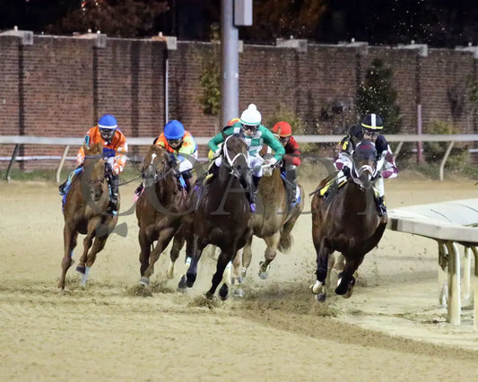 Recruiting Ready - Bet On Sunshine Overnight Stakes 12Th Running 11-02-19 R10 Cd Turn 01 Churchill