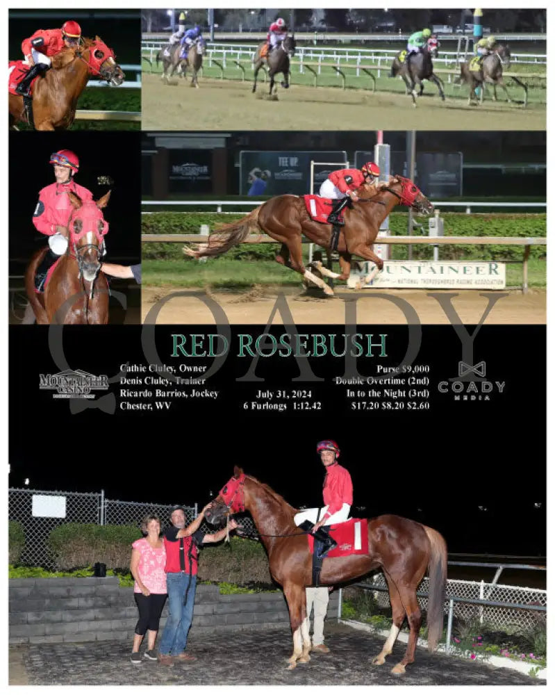 Red Rosebush - 07-31-24 R07 Mnr Mountaineer Park
