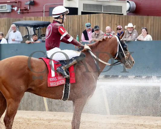 RED ROUTE ONE - The Essex Handicap G3 - 03-22-25 - R10 - OP - Come Back 01 Oaklawn Park