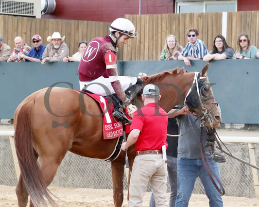 RED ROUTE ONE - The Essex Handicap G3 - 03-22-25 - R10 - OP - Come Back 03 Oaklawn Park