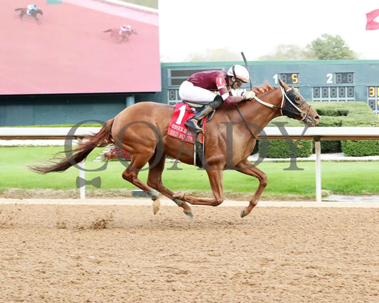 RED ROUTE ONE - The Essex Handicap G3 - 03-22-25 - R10 - OP - Finish 01 Oaklawn Park