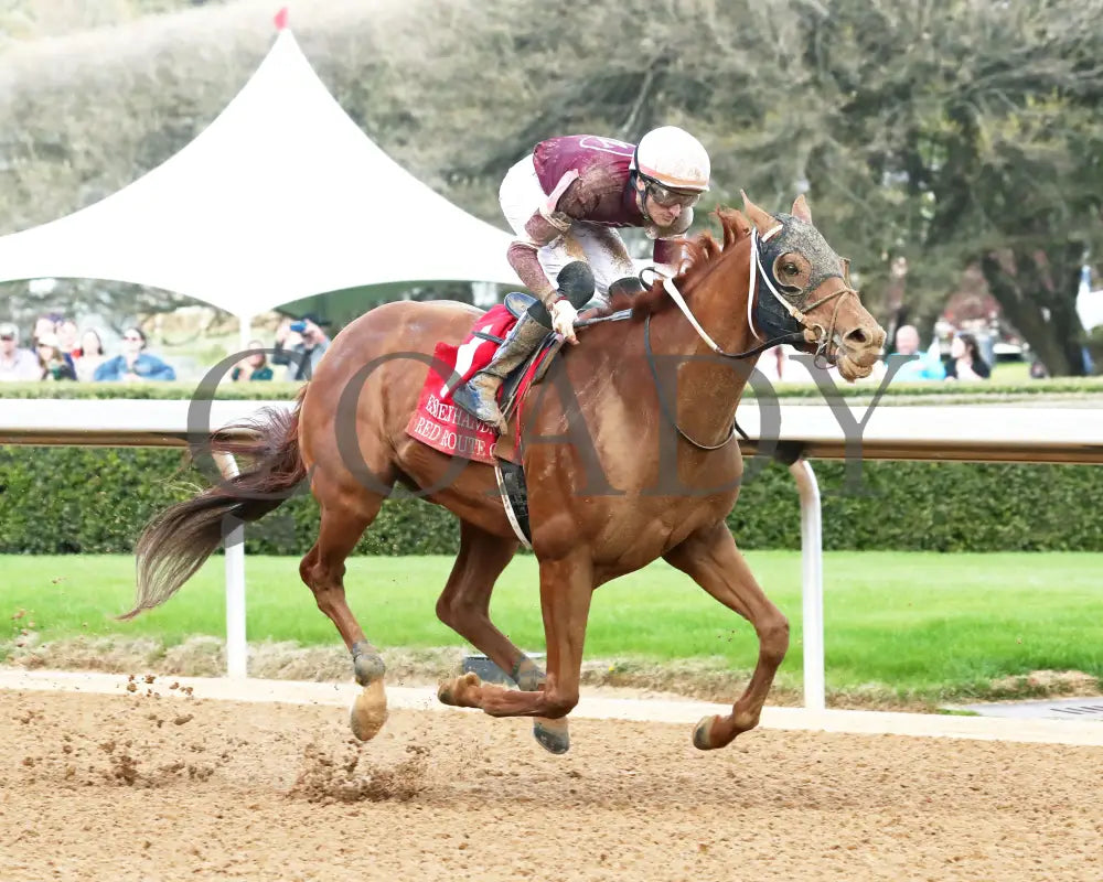 RED ROUTE ONE - The Essex Handicap G3 - 03-22-25 - R10 - OP - Finish 02 Oaklawn Park