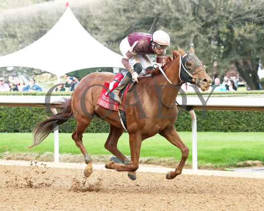 RED ROUTE ONE - The Essex Handicap G3 - 03-22-25 - R10 - OP - Finish 02 Oaklawn Park